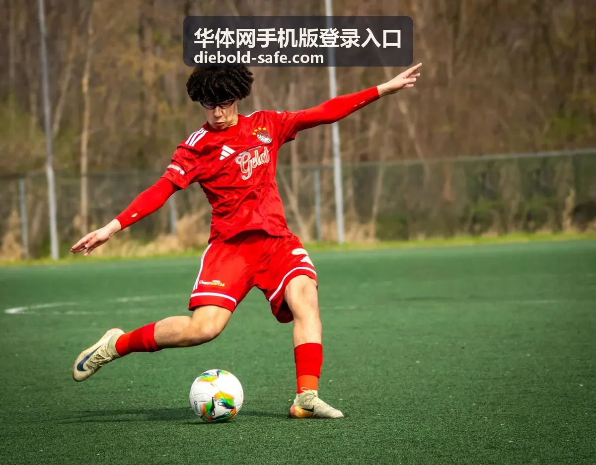 华体网手机版登录入口帮助中心封面